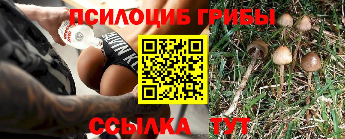 Псилоцибиновые грибы мицелий Салехард