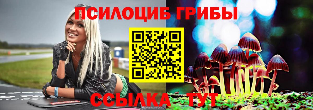 Псилоцибиновые грибы Magic Shrooms  Псилоцибиновые грибы ЛСД  Вход с VPN  Салехард 